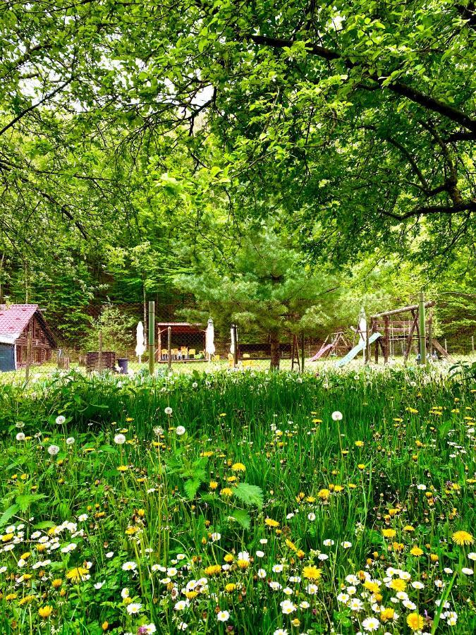 House In The Woods Panzió Resicabánya Kültér fotó