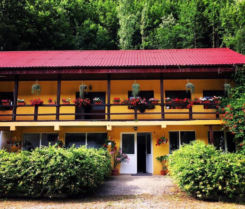House In The Woods Panzió Resicabánya Kültér fotó